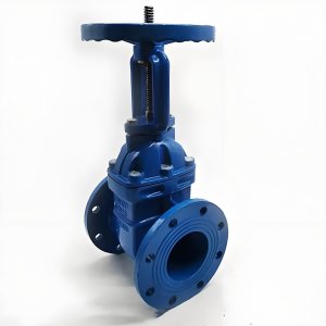 手動閘閥Z41T-16 DN50/DN65廠家直銷，上海發(fā)